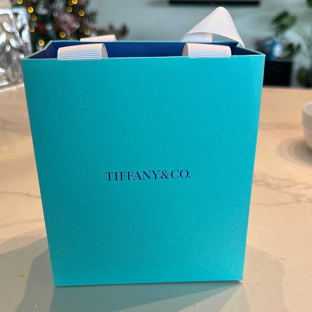Empty Tiffany & Co. Shopping Bag with royal blue text and interior.